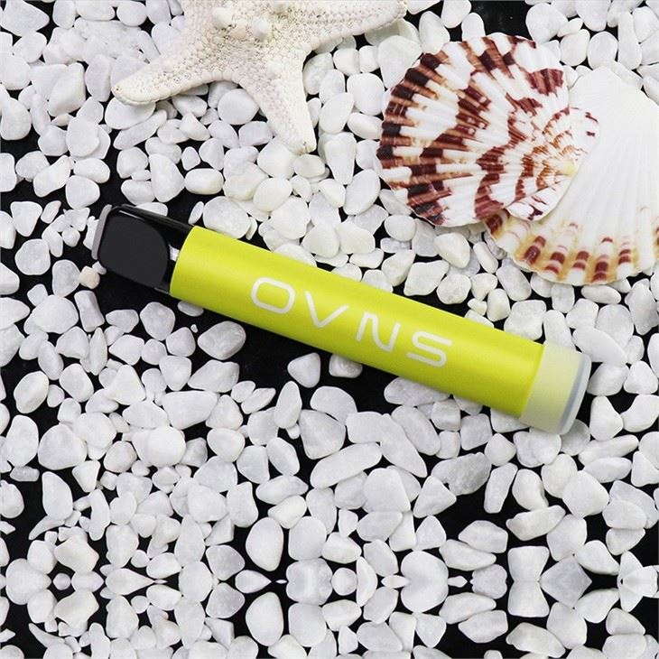 500 Puffs Disposable Vape Pen Pods Disposable 500 Puffs Disposable Vape Pen Pods Disposable