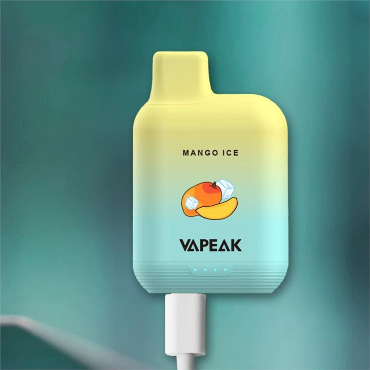 Disposable Ecigs 5000 Puffs