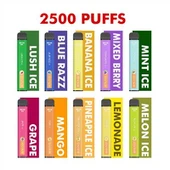 OVNS мрежеста бобина за еднократна употреба Vape 2500 PUFFS