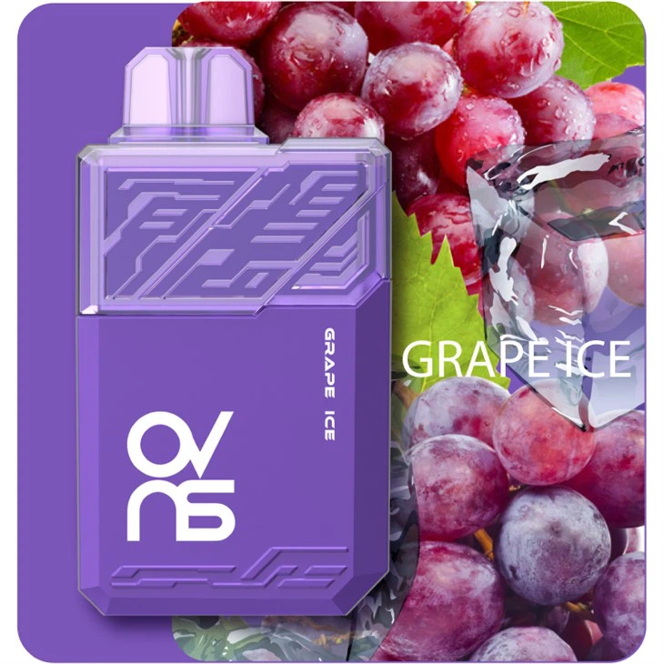 Best Rechargeable  10000 Puffs Vape disposable